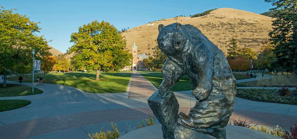 The grizzly bear statue on the campus of the University of Montana